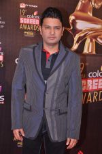 Bhushan Kumar at Screen Awards red carpet in Mumbai on 12th Jan 2013 (425).JPG